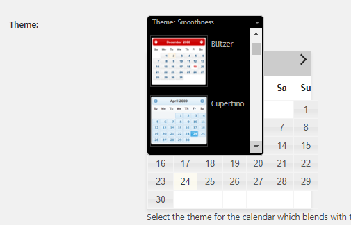 Calendar Appearance - Tyche Softwares Documentation