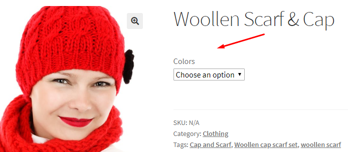 General Settings With Call for Price for WooCommerce - Tyche Softwares Documentation