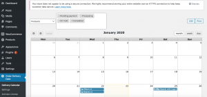 Export Delivery Dates to Print and CSV - Tyche Softwares Documentation