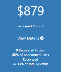 Understanding the Abandoned Cart Dashboard - Tyche Softwares Documentation