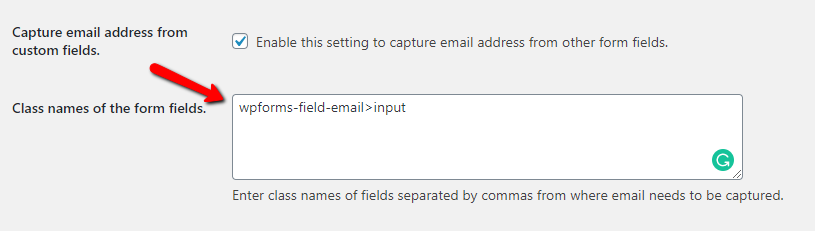 Capture Email address from Custom fields - Tyche Softwares Documentation