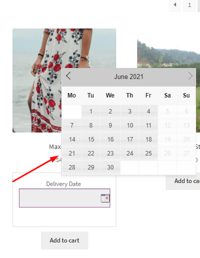 Show Delivery Date and Time on Shop/Archives page - Tyche Softwares Documentation