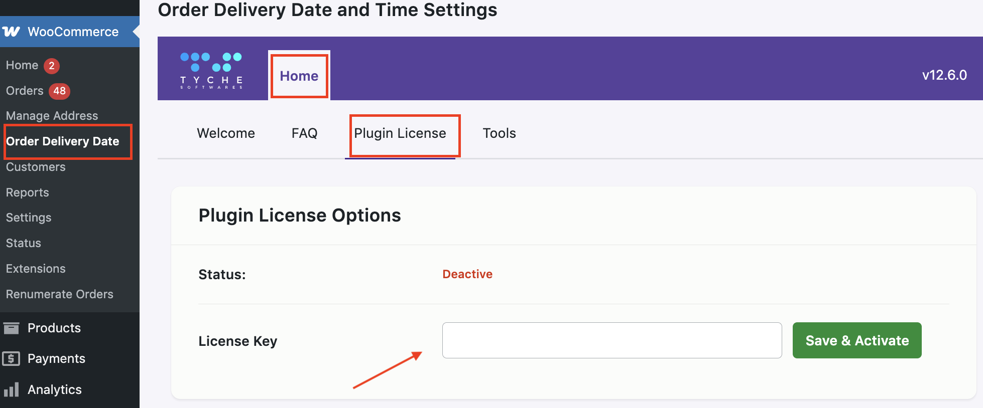 How to install the plugin & activate its license? - Tyche Softwares Documentation