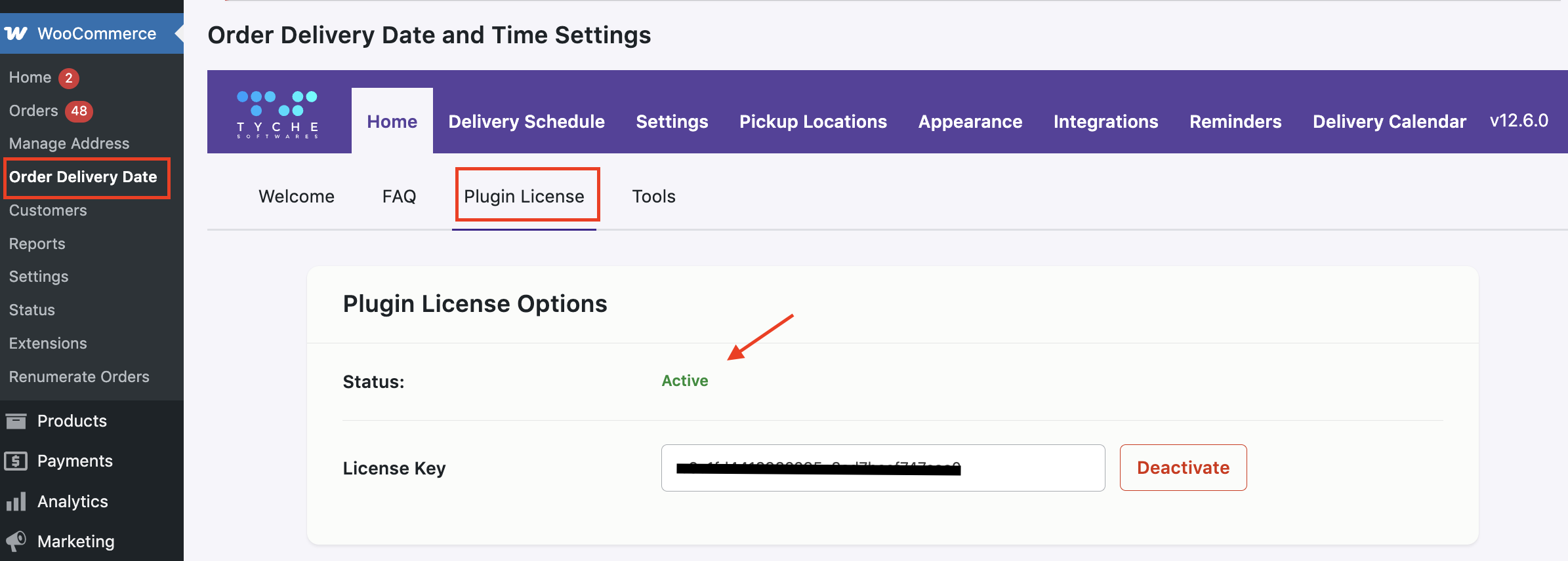How to install the plugin & activate its license? - Tyche Softwares Documentation