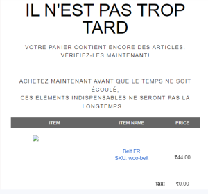 Multilingual Abandoned Cart Reminder Emails - Tyche Softwares Documentation
