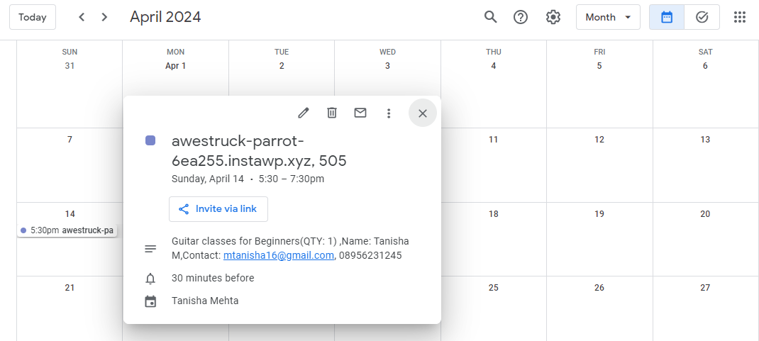 Google Calendar - Tyche Softwares Documentation