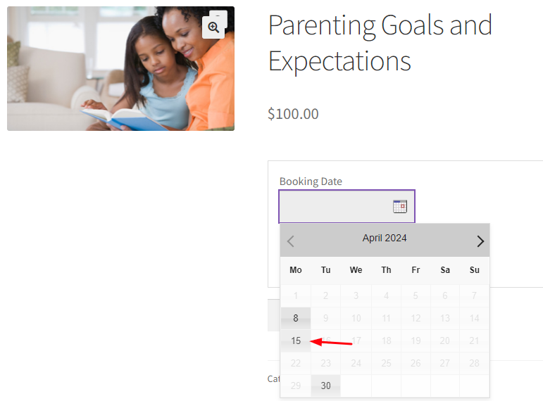 Maximum Bookings for days, dates and time slots - Tyche Softwares Documentation