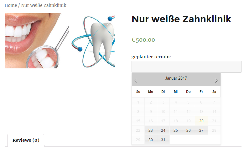 appearance of calendar and booking details- Front end with calendar visible for one month only