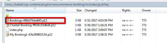 send WooCommerce Bookings to different Google Calendars- Copy the Key File Name excluding the .p12 extension