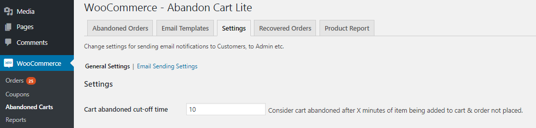 Capturing Abandoned Carts - Tyche Softwares Documentation