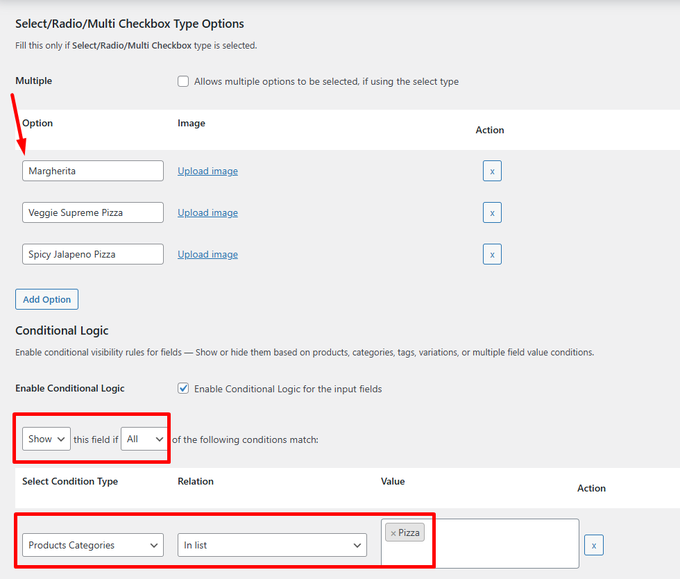 Set Condition logic for Product Input Field